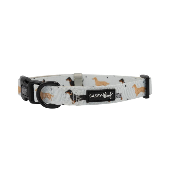 101 Dachshund' Dog Collar